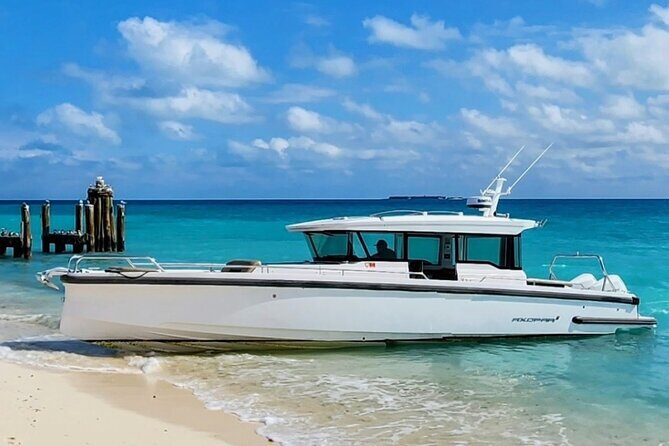Dry Tortugas National Park Day Trip by Luxury Private Boat - Who Should Consider This Tour?