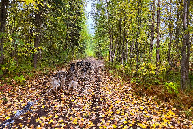 Dryland Dog Sled Tour - Inclusions in the Tour