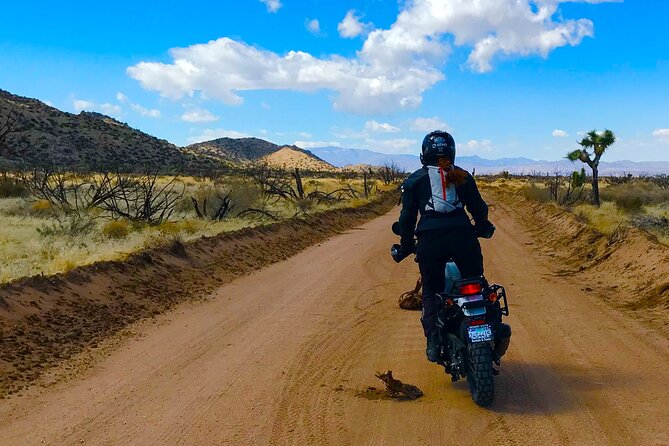Dual Sport Motorcycle Rental in Greater Palm Springs Area - Customer Reviews and Feedback