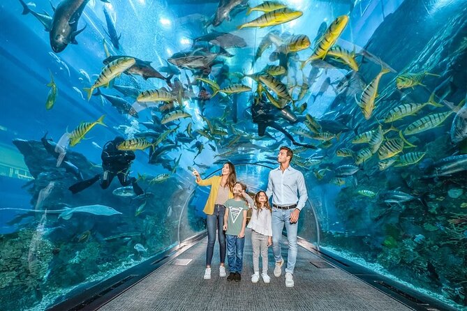 Dubai Aquarium & Under Water Zoo With Penguin Cove Option - Overview and Highlights