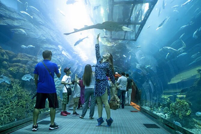 Dubai Aquarium & Under Water Zoo With Penguin Cove Option - Diverse Marine Species