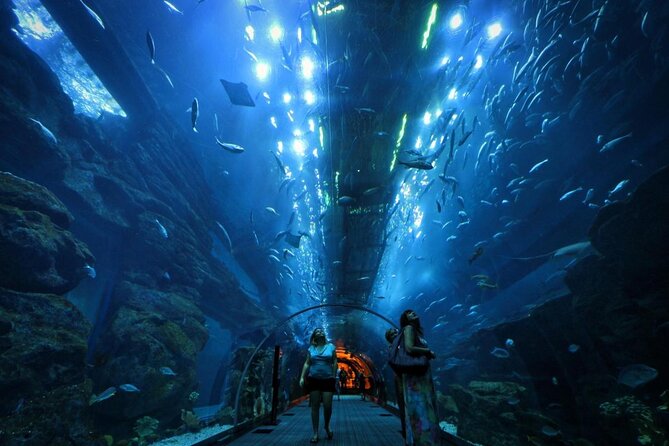 Dubai Aquarium Underater Zoo Penguin Cove With Optional Transport - Good To Know