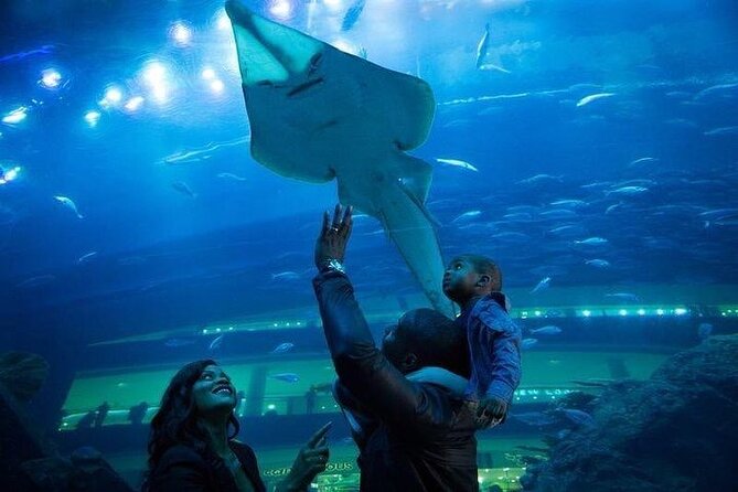 Dubai Aquarium Underater Zoo Penguin Cove With Optional Transport - Meeting and Transportation Information