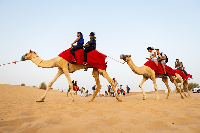Dubai Combo:City Tour and Premium Desert Safari With All Activities - Good To Know