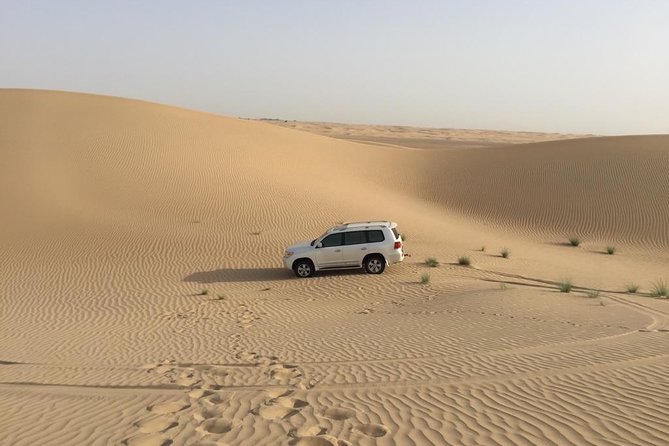 Dubai Kids Friendly Morning Safari - Private Car - Customer Feedback and Ratings