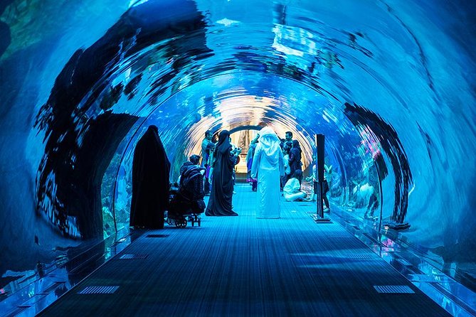 Dubai Mall Aquarium & Underwater Zoo - Experiencing the Ticketing and Admission