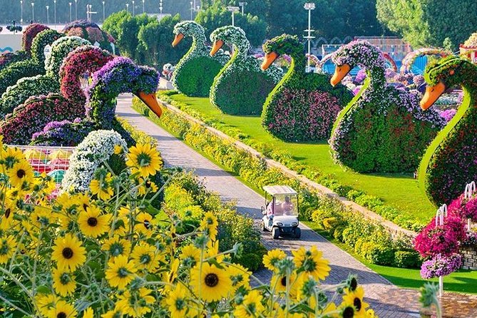 Dubai Miracle Garden With Private Round Trip Transfers - Pickup and Meeting Details