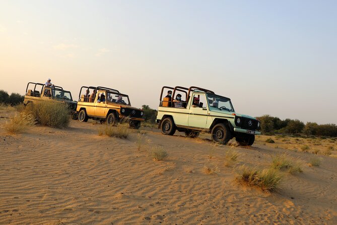 Dubai: Morning Heritage Safari by Vintage G Class & Al Marmoom Oasis - Accessibility and Age Policy