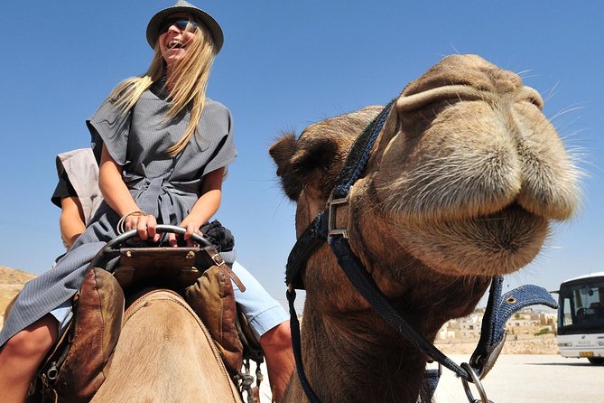 Dubai Morning Red Dunes With Camel Safari & Sandsurf - Sandboarding and ATV Rides