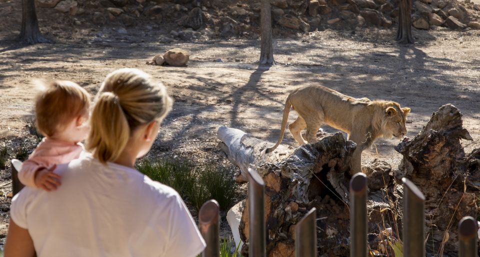 Dubbo: Taronga Western Plains Zoo 2-Day Entry Ticket - Full Description of the Zoo Visit