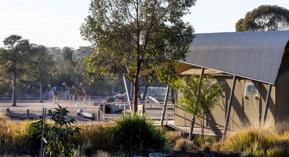 Dubbo: Taronga Western Plains Zoo 2-Day Entry Ticket - Important Ticket Information