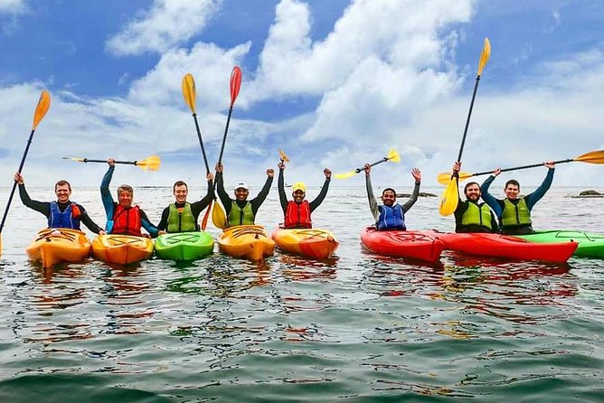 Dublin Bay Seal Kayaking Safari at Dalkey - Kayaking Equipment Provided