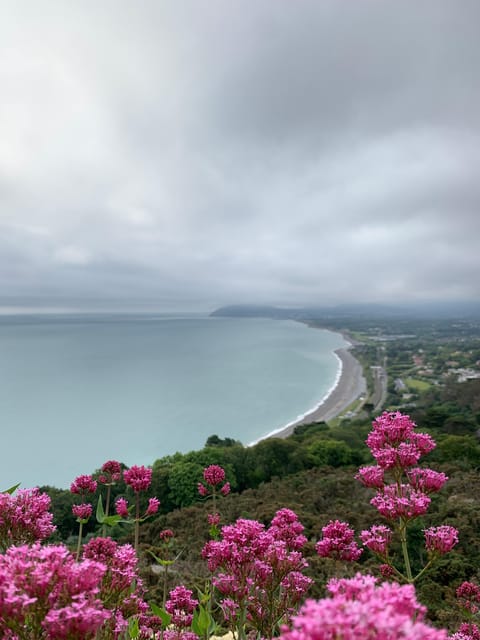 Dublin Coast & Wicklow Mountains: Luxury Private Day Tour - Scenic Glendalough Experience