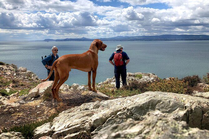 Dublin Coastal Hike with Howth Adventures - An Overview of What to Expect