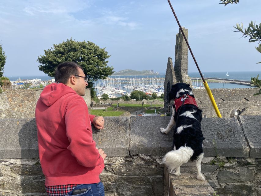 Dublin: Dublin Coastal Hike and Pints & Puppies - Practical Details and Tips