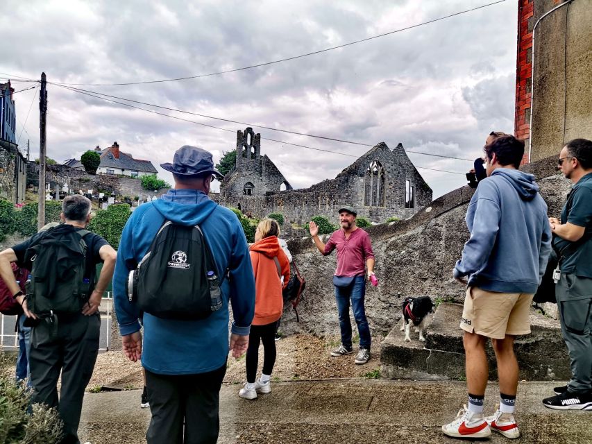 Dublin: Dublin Coastal Hike and Pints & Puppies - FAQ