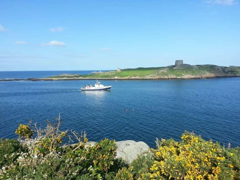 Dublin: Dun Laoghaire Dalkey Island Boat Cruise - Why This Cruise Stands Out