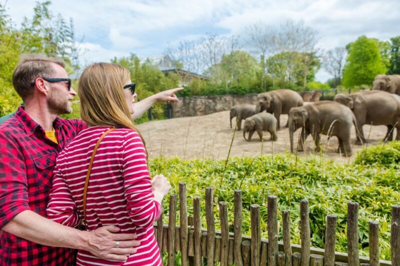 Dublin Explorer Pass: Save up to 50% on 3 to 7 Attractions - The Value for Different Travelers