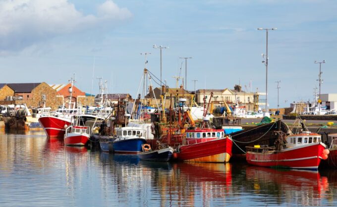 Dublin: Full-Day Howth and Malahide Castle Tour - Meeting Point and Departure