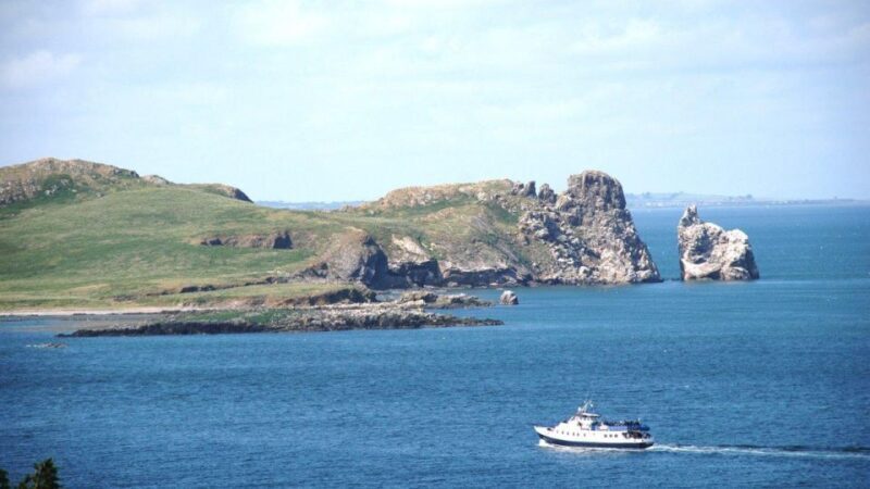 Dublin: Howth Cliffs and Ireland's Eye Boat Cruise - A Detailed Look at the Experience