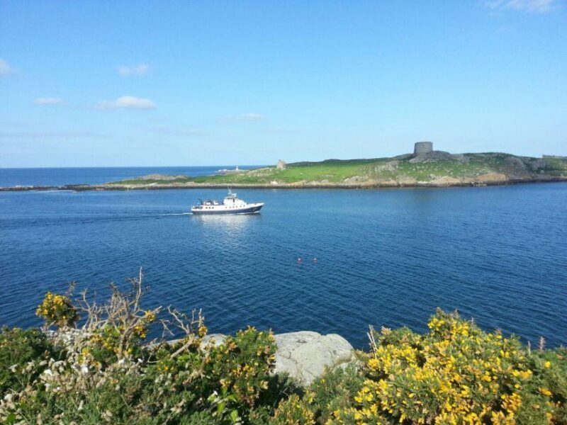 Dublin: Howth Cliffs and Ireland's Eye Boat Cruise - The Sum Up: The Right Choice for a Relaxed Coastal View