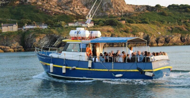Dublin: Howth Cliffs and Lighthouse Cruise - What Reviewers Love (and What to Consider)