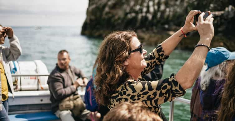 Dublin: Howth Coastal Boat Tour - Key Points  
