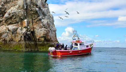 Dublin: Howth Coastal Boat Tour - An In-Depth Look at the Experience