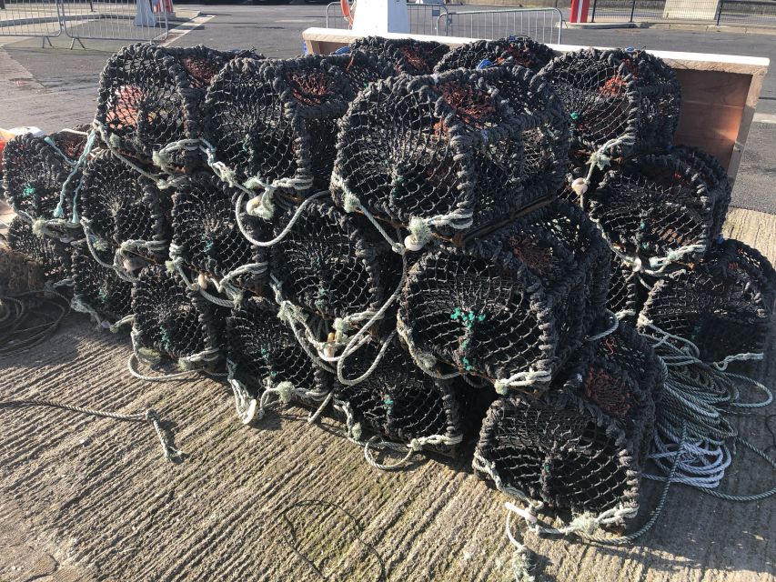 Dublin: Howth Coastal Craft Beer and Seafood Tour - Scenic Views and Wildlife