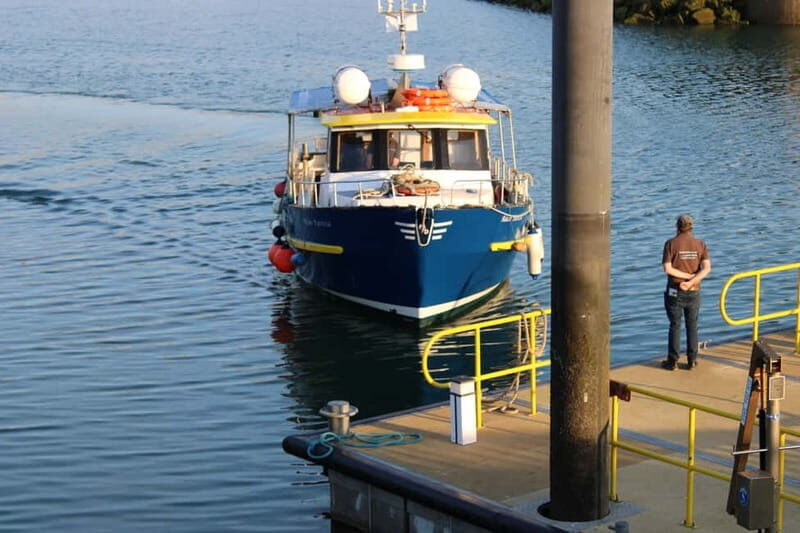 Dublin: Howth Cruise and Dine Experience - Exploring the Experience in Detail