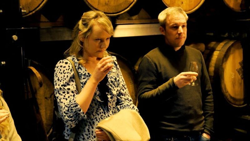 Dublin: Jameson and Guinness Private Tour with Transfers - Why This Tour Excels