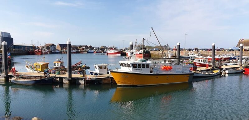 Dublin: Private Day Tour of Howth and Malahide Villages - A Closer Look at the Itinerary and Experiences