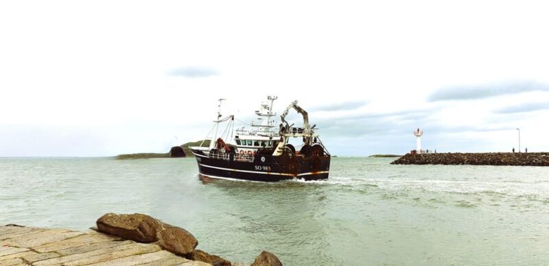 Dublin: Private Day Tour of Howth and Malahide Villages - The Sum Up