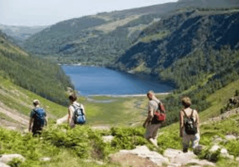 Dublin: Private Tour To wicklow , Glendalough & Powerscourt. - An In-Depth Look at the Experience