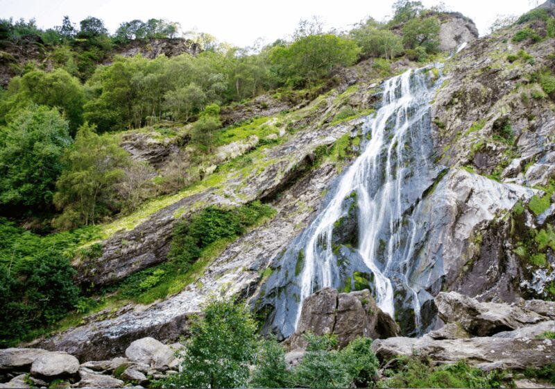Dublin: Private Tour To wicklow , Glendalough & Powerscourt. - The Sum Up