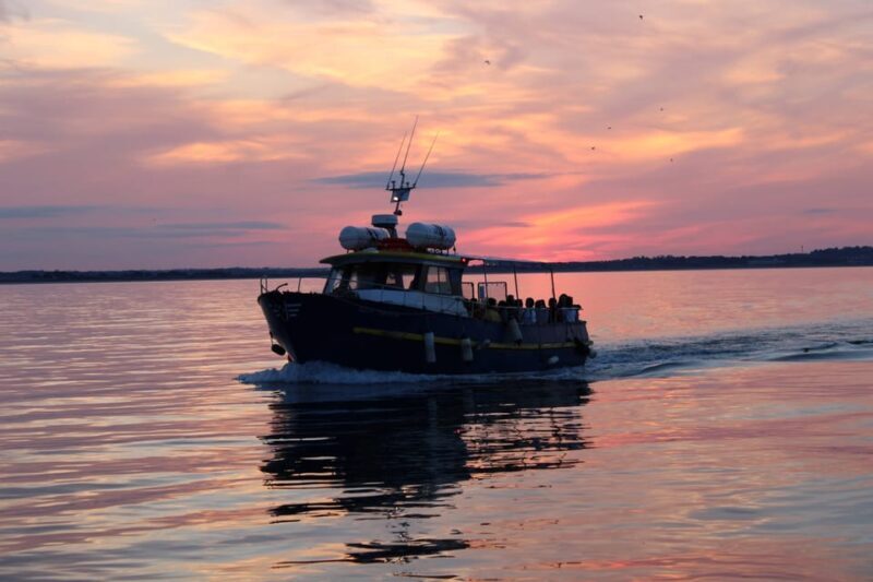 Dublin: Sunset Cruise in Howth - Final Thoughts