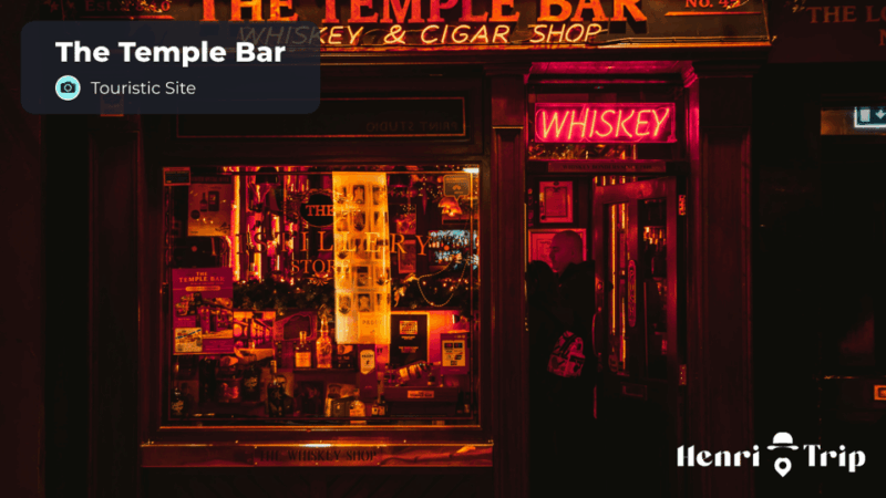 Dublin : the Ultime Digital Guide - Ideal Users and Audience