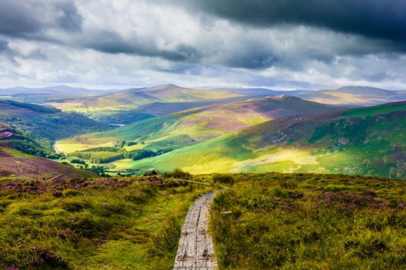 Dublin to County Wicklow & Glendalough Private Trip by Car - Attractions to Explore