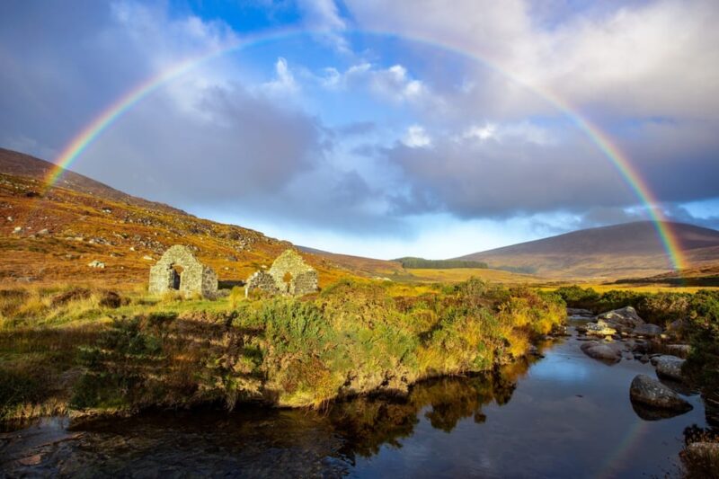 Dublin to County Wicklow & Glendalough Private Trip by Car - Transportation Options