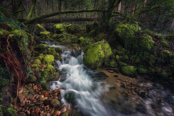 Dublin to County Wicklow & Glendalough Private Trip by Car - Important Travel Tips
