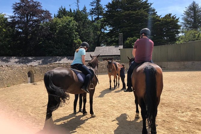 Dublin to Wicklow and Glendalough Guided Tours With Horse Riding - Pickup and Drop-off