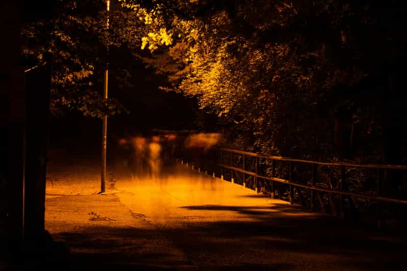 Dublin Walking Tour: Ghosts & Haunted Places - Overview of the Tour