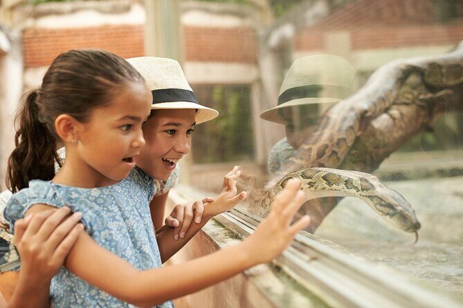 Dublin Zoo Skip-the-line Tickets and Private Transfers - Final Thoughts: Is It Worth It?