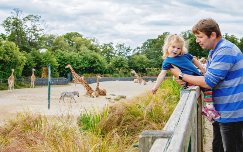 Dublin Zoo Skip-the-line Tickets and Private Transfers - Good To Know