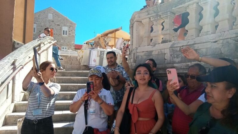 Dubrovnik: 1.5-Hour Guided Old Town Walking Tour - Who Should Sign Up?