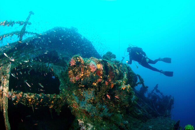 Dubrovnik 1 Dive for Certified Divers - A Closer Look: What to Expect from the Dubrovnik Certified Dive Tour