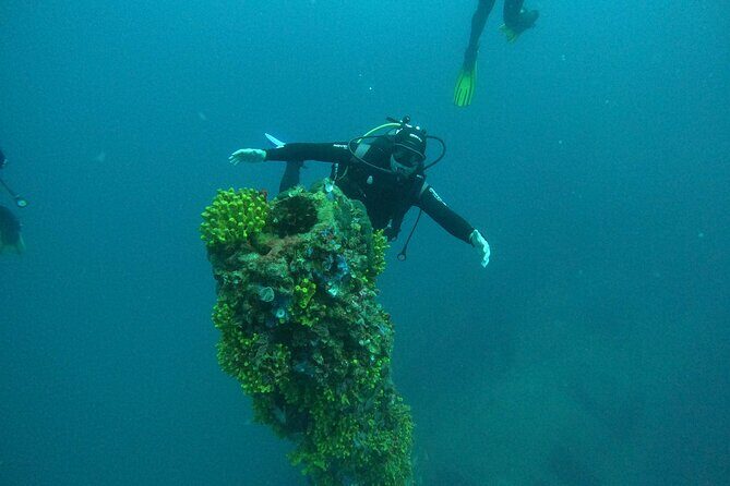Dubrovnik 1 Dive for Certified Divers - Who Will Love This Tour?