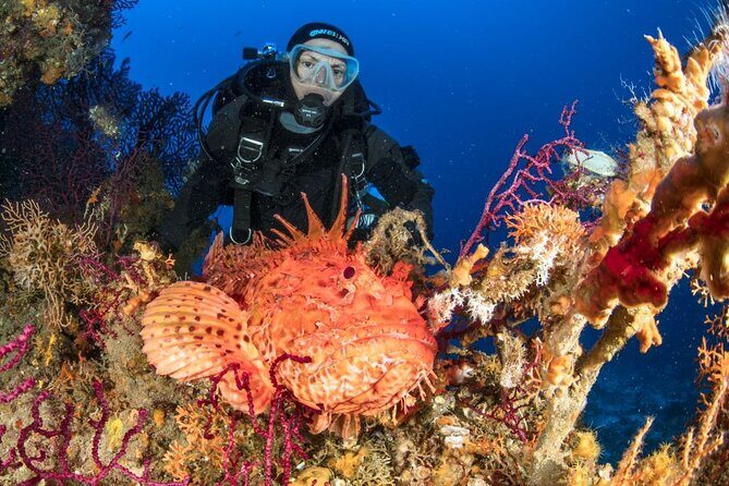 Dubrovnik 1 Dive for Certified Divers - Frequently Asked Questions