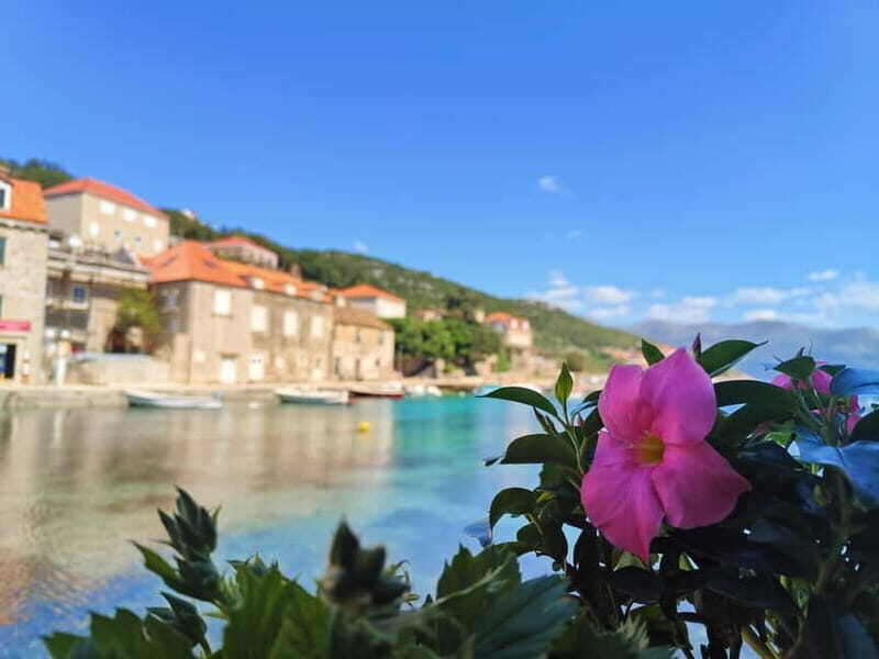 Dubrovnik: 3 Islands Tour w/ Drinks; Optional Lunch Onboard - Who Should Consider This Tour?
