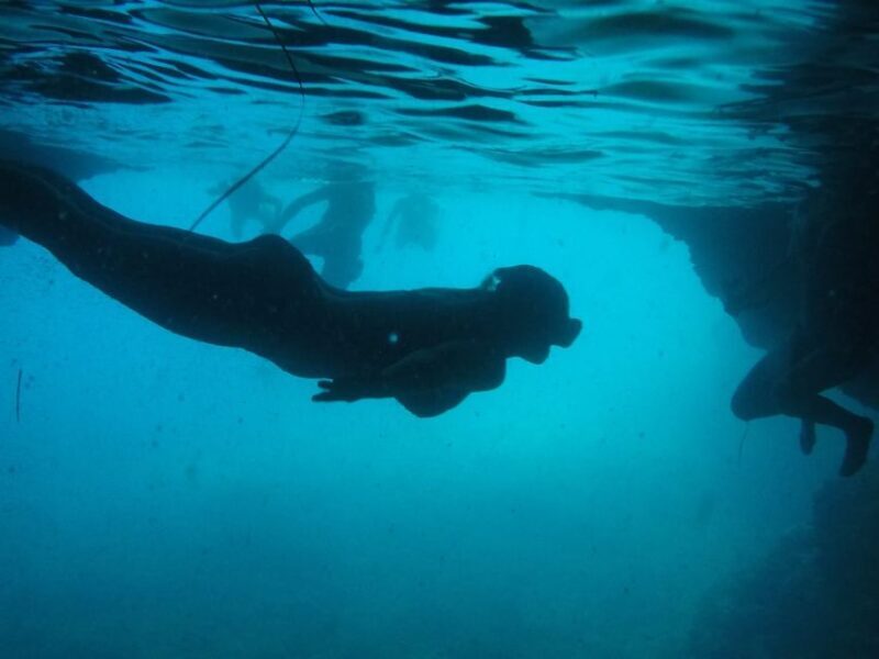 Dubrovnik: Blue Cave & Sunj Beach Boat Tour with Drinks - What the Reviews Say